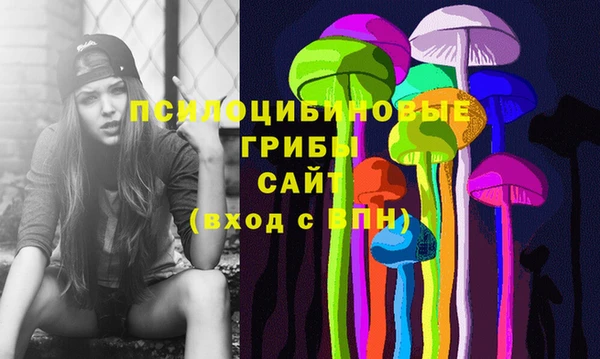 гидропоника Белоозёрский