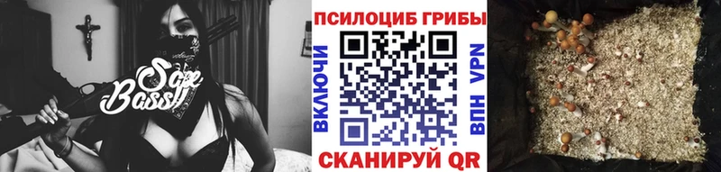 Галлюциногенные грибы мицелий Курганинск